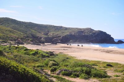 Cabo Migrino Beach & Desert Tour (Quad UTV)