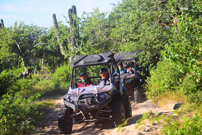 Cabo Migrino Beach & Desert Tour (Triple UTV) - What to bring and what to expect