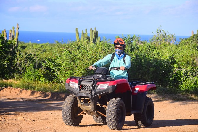 Cabo Original Real Baja 1000 Tour (Single ATV) - Desert plants and a 200-year-old cactus stop
