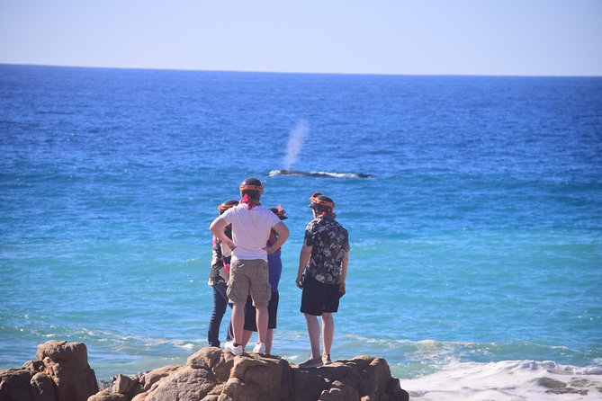 Cabo Original Real Baja 1000 Tour (Single ATV) - Finishing beside the Baja beach