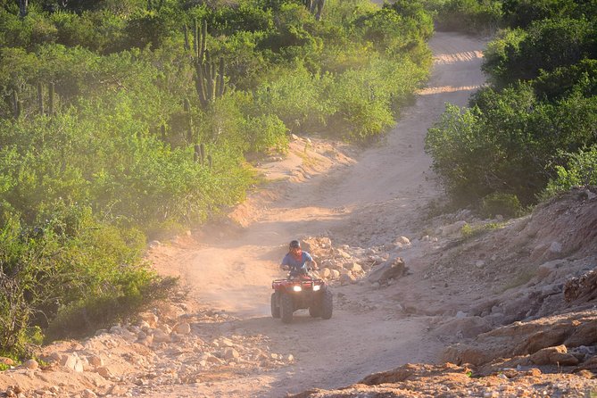 Cabo Original Real Baja 1000 Tour (Single ATV) - What the $210 price really includes