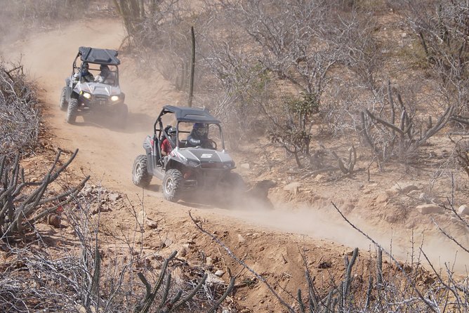 Cabo Original Real Baja 1000 Tour (Triple UTV) - Guides can shape the entire ride