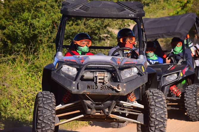 Cabo Original Real Baja 1000 Tour (UTV) - Who should book this ride