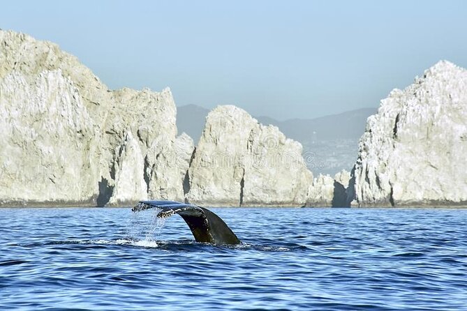 Cabo Private Transportation to Cabo - Why a private transfer makes sense in Los Cabos