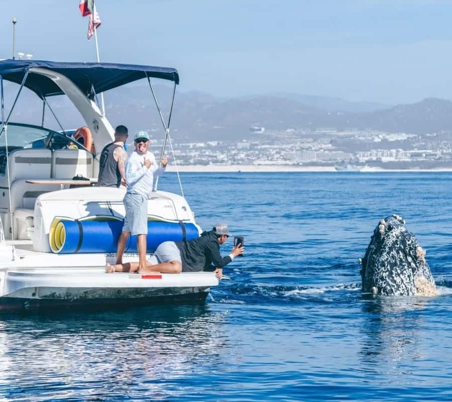 Cabo: Private Yacht Tour, Water Activities, Lunch & Drinks - Service that suits celebrations