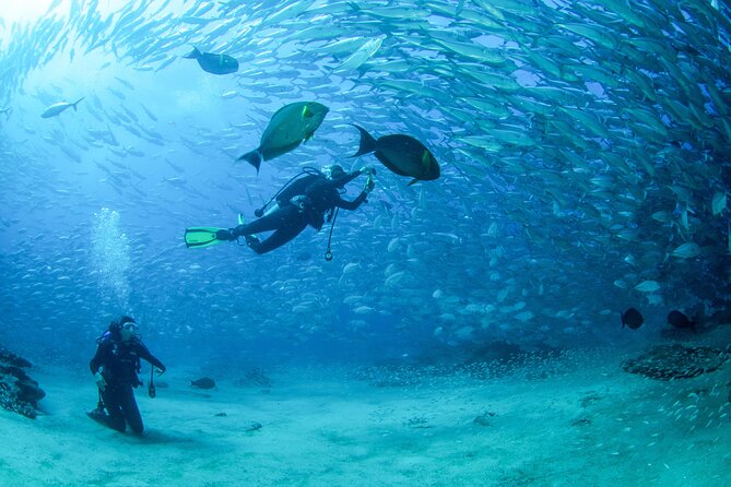 Cabo Pulmo 2 Tank Certified Dive with Lunch - Why Cabo Pulmo is worth the long ride