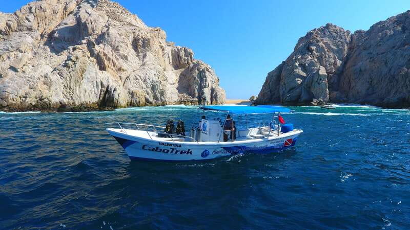 Cabo San Lucas: 2.5-Hour Whale Watching Tour - What the marine biologist adds