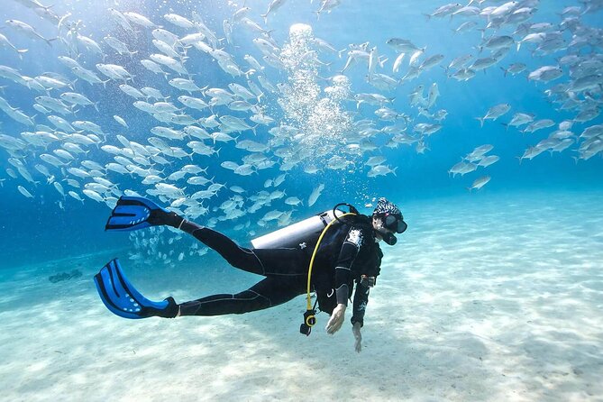 Cabo San Lucas 2 Tank Scuba Diving - What the $150.54 price gives you