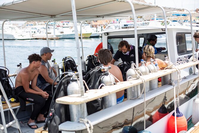 Cabo San Lucas 2 Tank Scuba Diving - Who will get the most from this trip