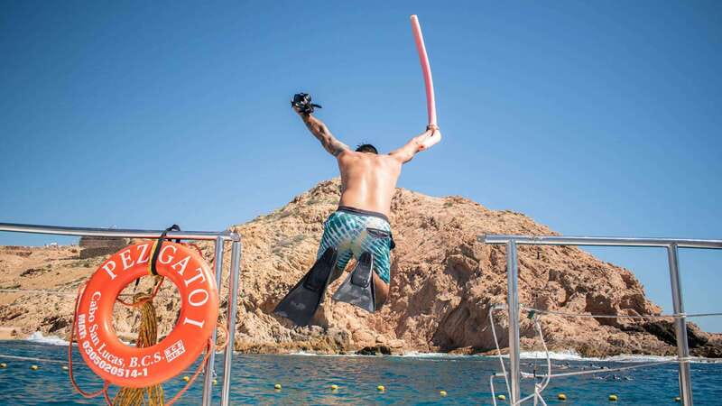 Cabo San Lucas: 4-Hour Snorkeling Cruise with Open Bar - Key points at a glance