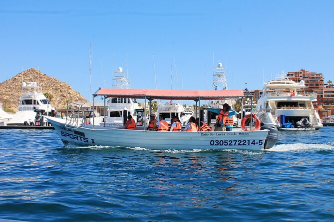 Cabo San Lucas Arc Group Tour in Glass Bottom Boat - Is $20.86 a Good Value?