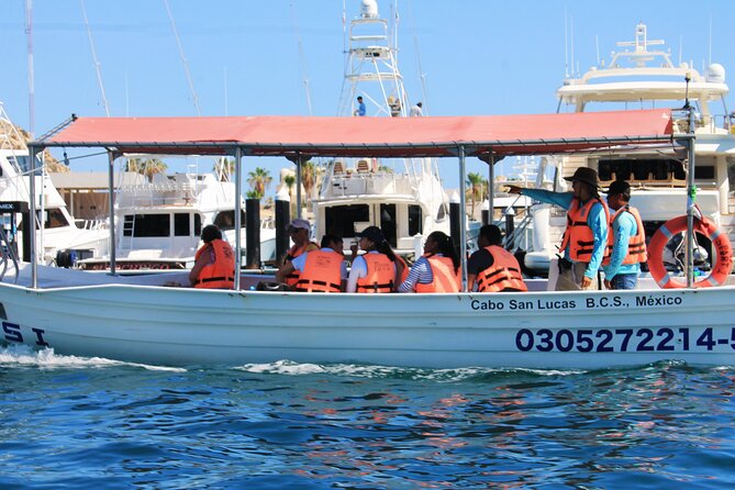 Cabo San Lucas Arc Group Tour in Glass Bottom Boat - Who Will Like This Cabo Boat Tour?