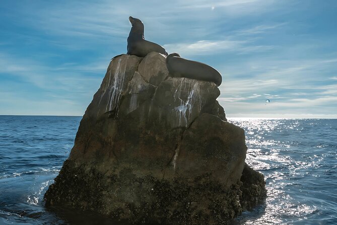 Cabo San Lucas Arch & City Tour: Glass-Bottom Boat & Tequila - The organization is the biggest risk