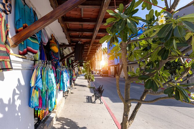 Cabo San Lucas Arch Cruise and Shopping Tour - Which guide might lead your day