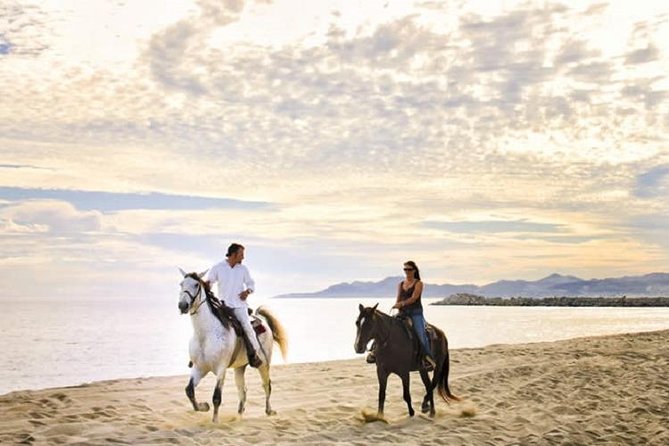 Cabo San Lucas Beach and Desert Horseback Ride - Key points to know before you book