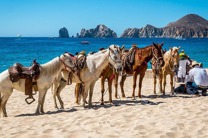 Cabo San Lucas Beach and Desert Horseback Ride - Photos, tips, and extra charges