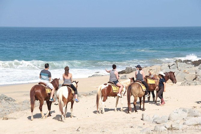 Cabo San Lucas Beach and Desert Horseback Ride - Riding the Migrino desert trails