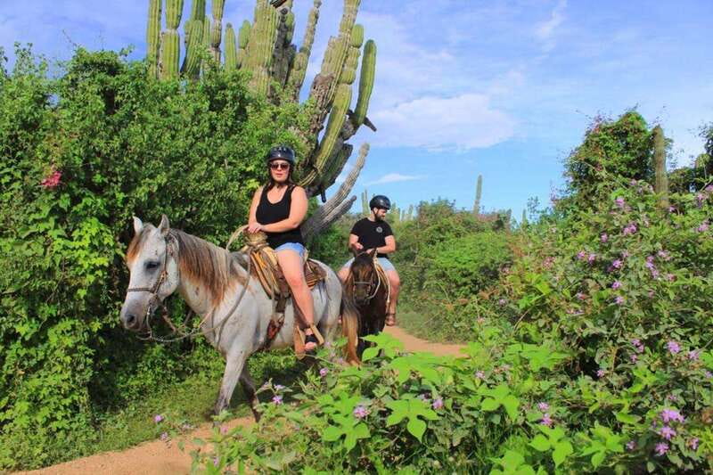 Cabo San Lucas: Beach & Desert Horseback Riding Tour - From pickup to the safety briefing