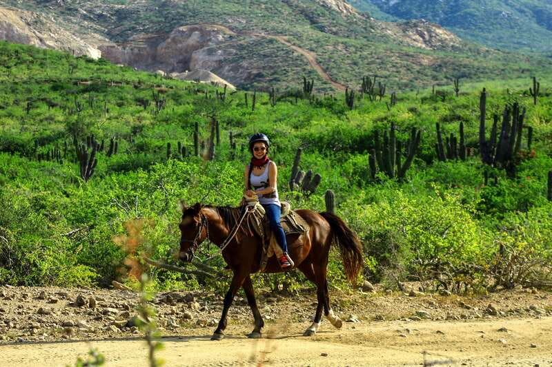 Cabo San Lucas: Beach & Desert Horseback Riding Tour - The horses, guides, and pace