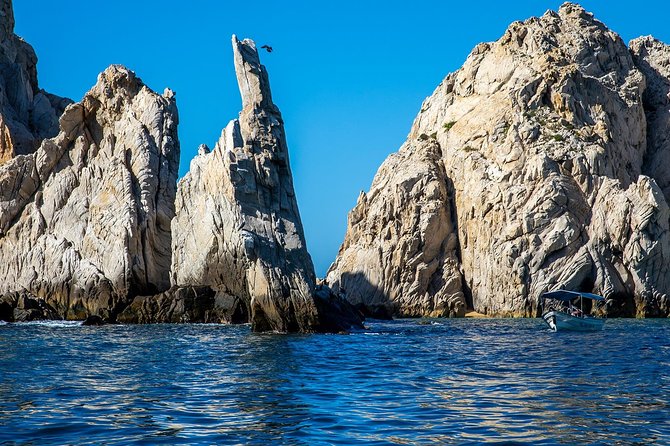 Cabo San Lucas Boat Tour - What glass-bottom means here