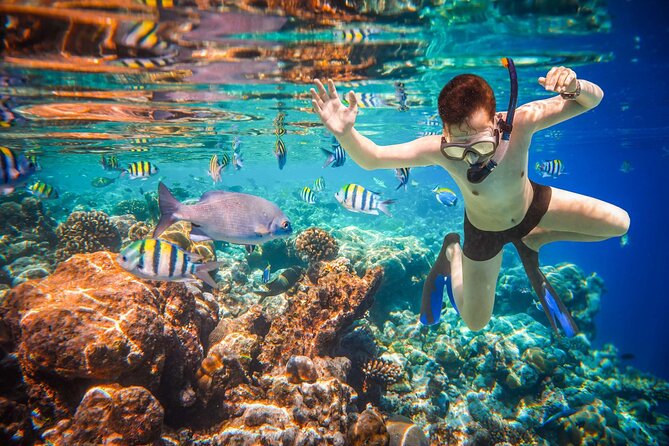 Cabo San Lucas Boat Tour and Snorkel at Pelican Rock - Who will enjoy this Cabo outing