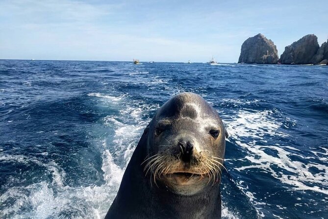 Cabo San Lucas Boat Tour and Snorkel at Pelican Rock - Booking, cancellation, and weather details