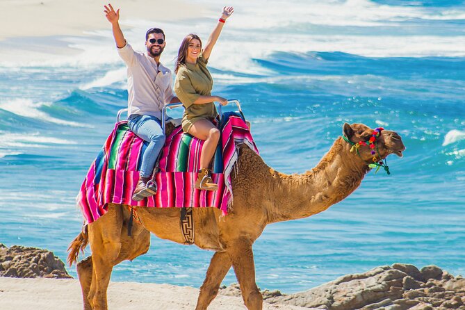 Cabo San Lucas Camel and Horseback Ride with ATV Adventure - Migriño Beach trades resort polish for open Pacific views
