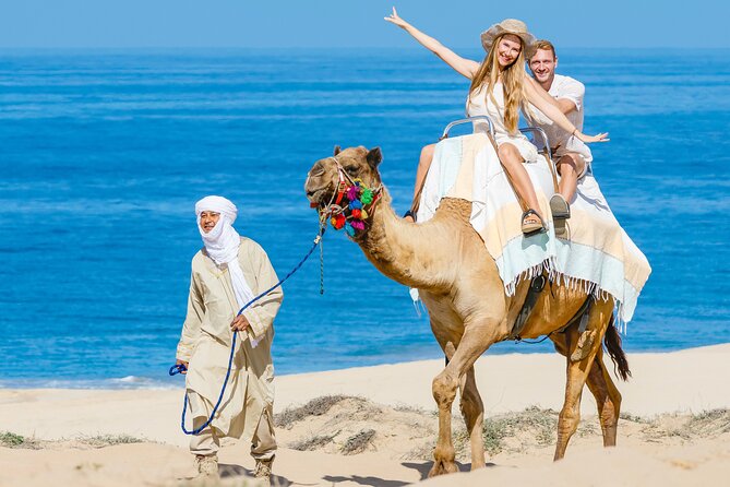 Cabo San Lucas Camel and Horseback Ride with ATV Adventure - Horseback riding along the Pacific shore