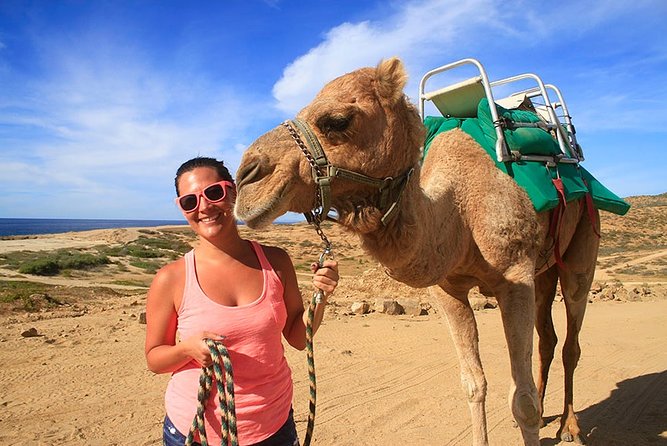 Cabo San Lucas Camel Ride and Encounter on Beach and Desert - Key points to know before you book