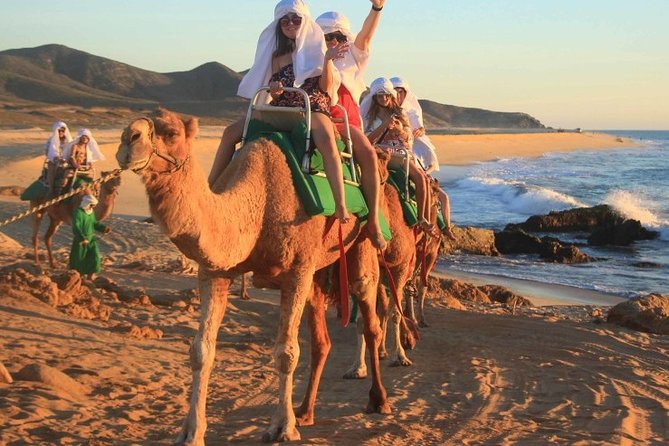 Cabo San Lucas Camel Ride and Encounter on Beach and Desert - Getting from Cabo to the Cactus Tours ranch