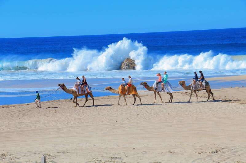 Cabo San Lucas: Camel Ride & Off-Road UTV Combo Adventure - Two Cabo Experiences in One Short Outing