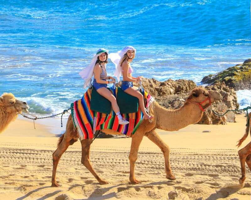 Cabo San Lucas: Camel Ride & Off-Road UTV Combo Adventure - The Real Cost Beyond the $118 Price