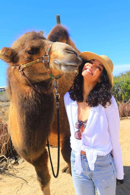 Cabo San Lucas: Camel Ride & Off-Road UTV Combo Adventure - Who Will Enjoy This Combo Most?