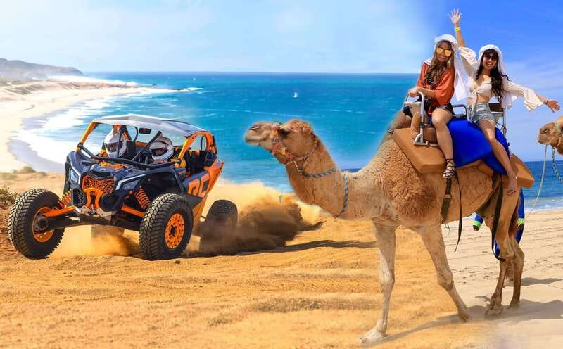 Cabo San Lucas: Camel Ride & Off-Road UTV Combo Adventure - The Camel Ride Along Cabo’s Pacific Coast