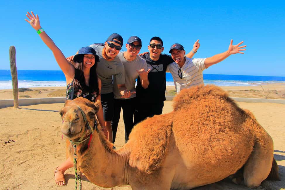 Cabo San Lucas: Camel Ride on the Beach - What the camel ride is really like