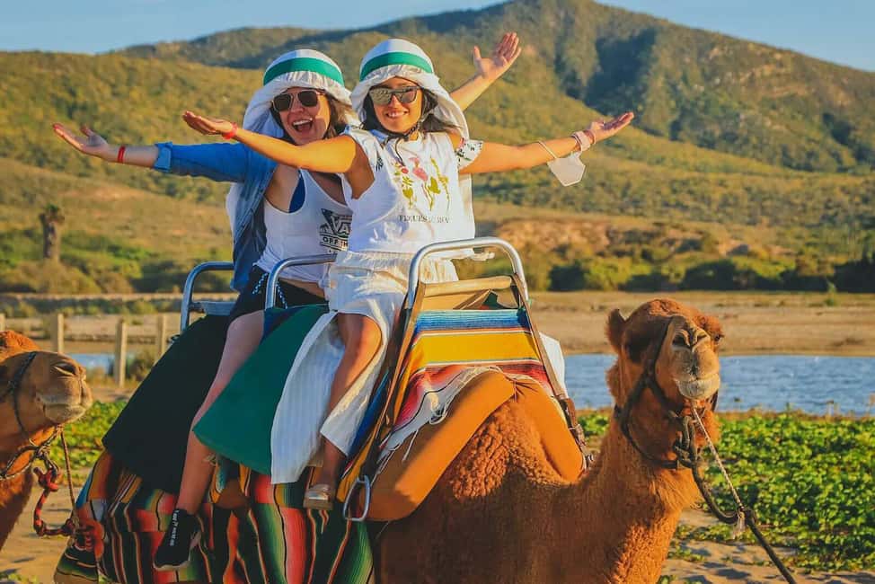Cabo San Lucas: Camel Ride on the Beach - From your resort to Migriño Beach