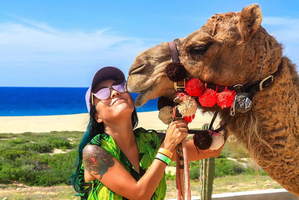 Cabo San Lucas: Camel Ride on the Beach - Feeding, hugging, and photo decisions