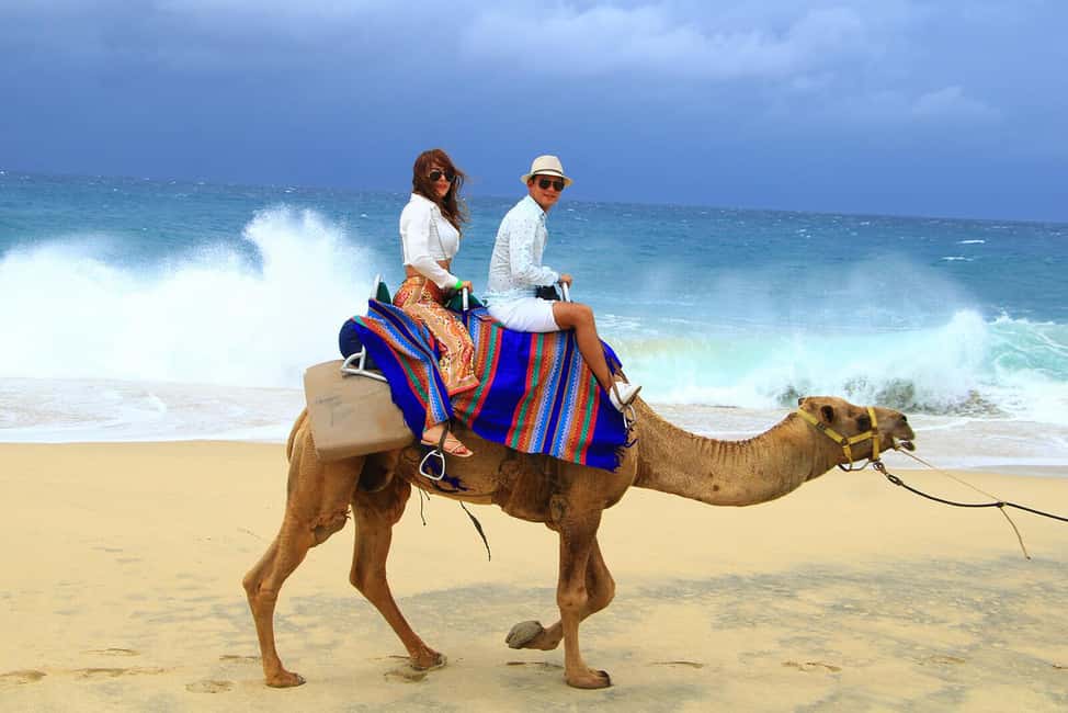 Cabo San Lucas: Camel Ride on the Beach - A Mexican buffet after the ride