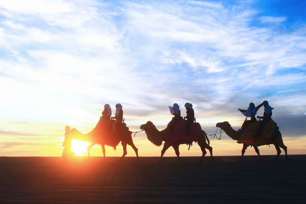 Cabo San Lucas: Camel Ride on the Beach - Is $114 a fair price?
