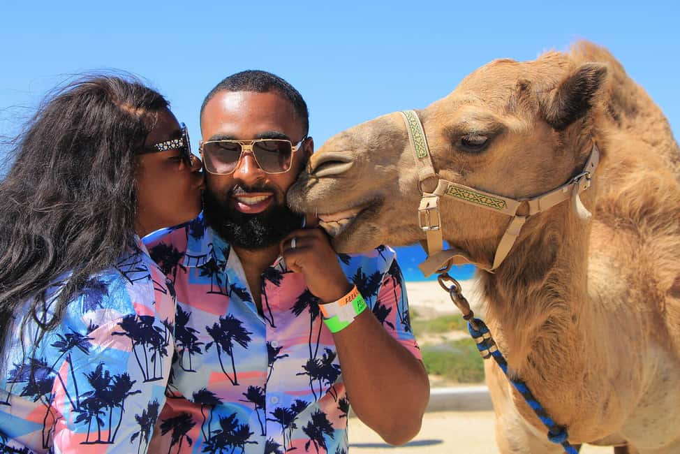 Cabo San Lucas: Camel Ride on the Beach - Who should book this outing