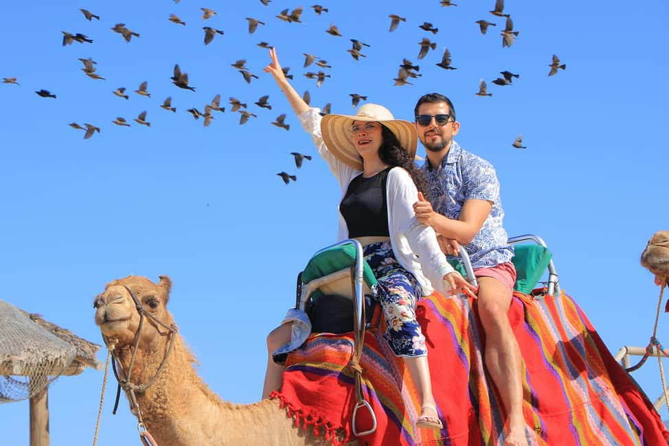 Cabo San Lucas: Camel Ride on the Beach - Practical tips for a smoother visit