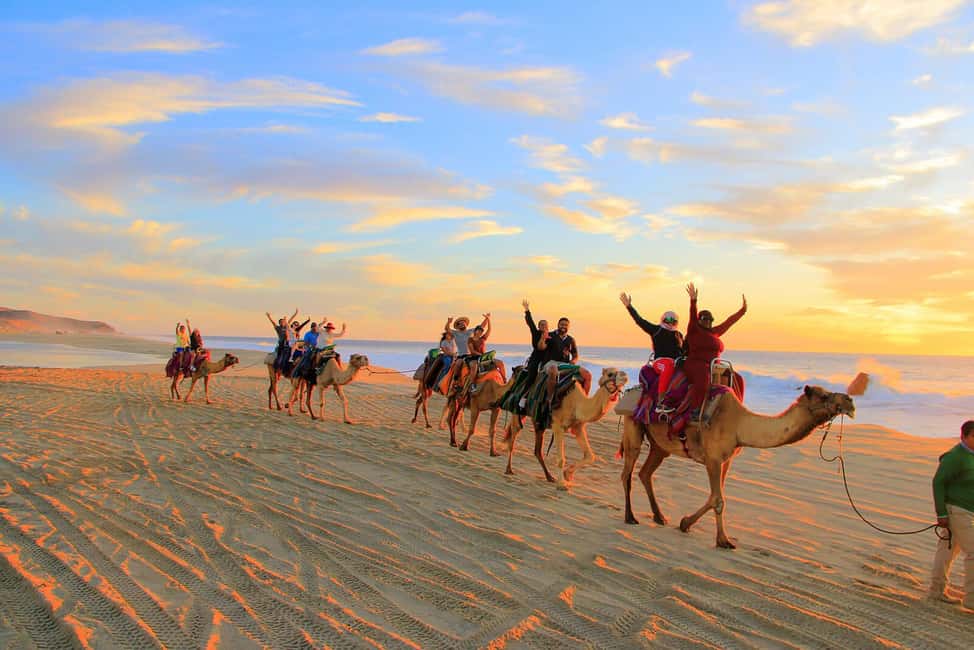 Cabo San Lucas: Camel Ride on the Beach - Mounting up in the Baja desert