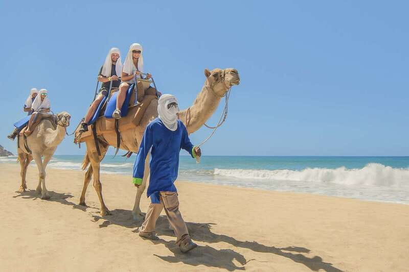Cabo San Lucas: Camel Safari Tour with Lunch and Tequila - A camel ride with a Pacific Ocean backdrop