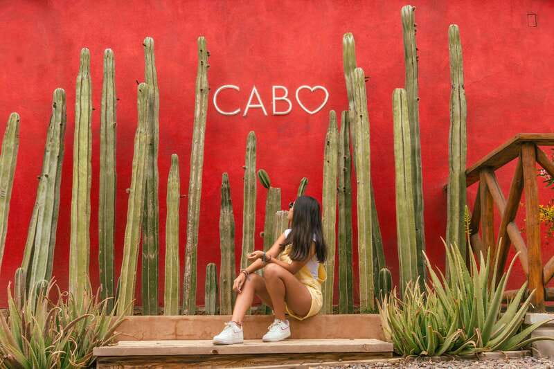 Cabo San Lucas: Camel Safari Tour with Lunch and Tequila - What the ride is really like