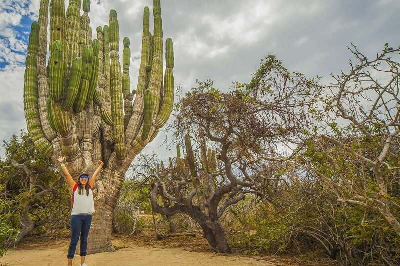 Cabo San Lucas: Camel Safari Tour with Lunch and Tequila - Is $99 a fair price?