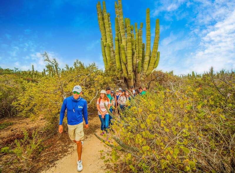 Cabo San Lucas: Camel Safari Tour with Lunch and Tequila - Who should book this Cabo excursion?