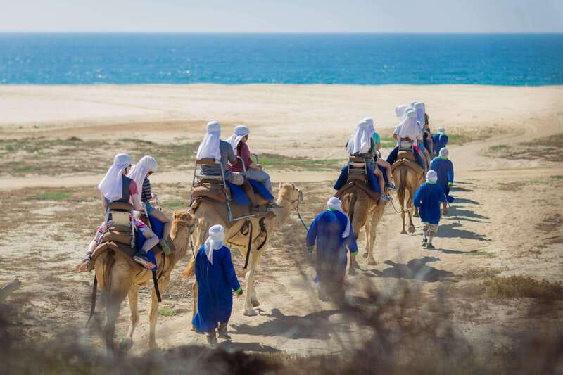 Cabo San Lucas: Camel Safari Tour with Lunch and Tequila - Crossing Cabo’s desert on foot