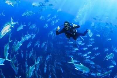 Cabo San Lucas Certified 2 Tank Dive at the Famous Arch and Land’s End