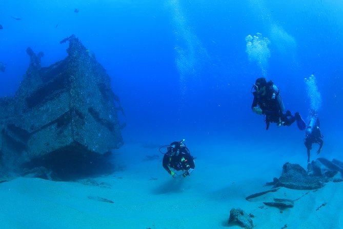 Cabo San Lucas Certified 2 Tank Dive at the Famous Arch and Land's End - Marine life is the strongest reason to choose it