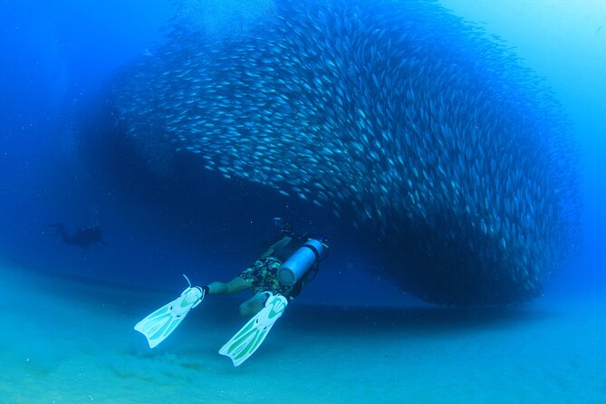 Cabo San Lucas Certified 2 Tank Dive at the Famous Arch and Land's End - Pickup, timing, and small practical details